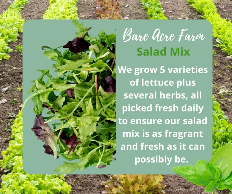 Bare Acre Organic Salad Mix