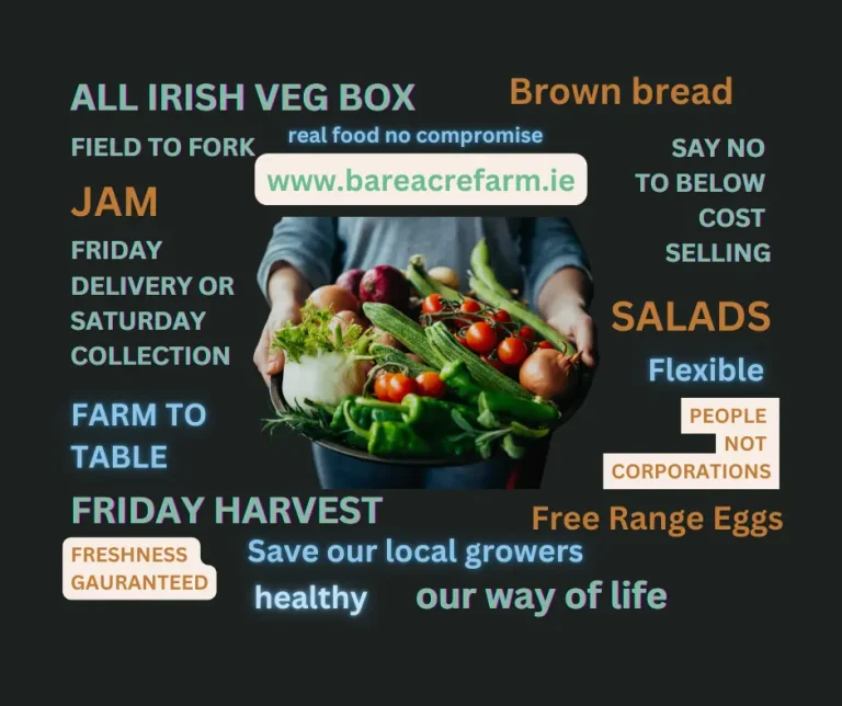 Bare Veg Box Delivery in Fingal.