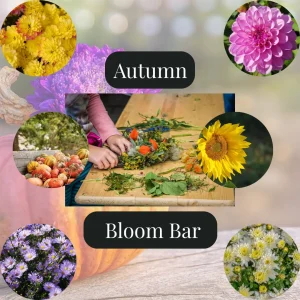 Autumn Bouquet Bar with Lynette