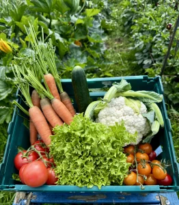 Vegetable Box From Bare Acre Farm Dublin