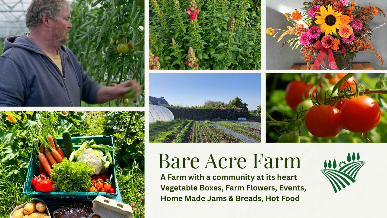 Website Header Collage Home Page FW