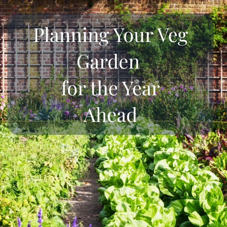 Planning Your Veg Garden For 2026