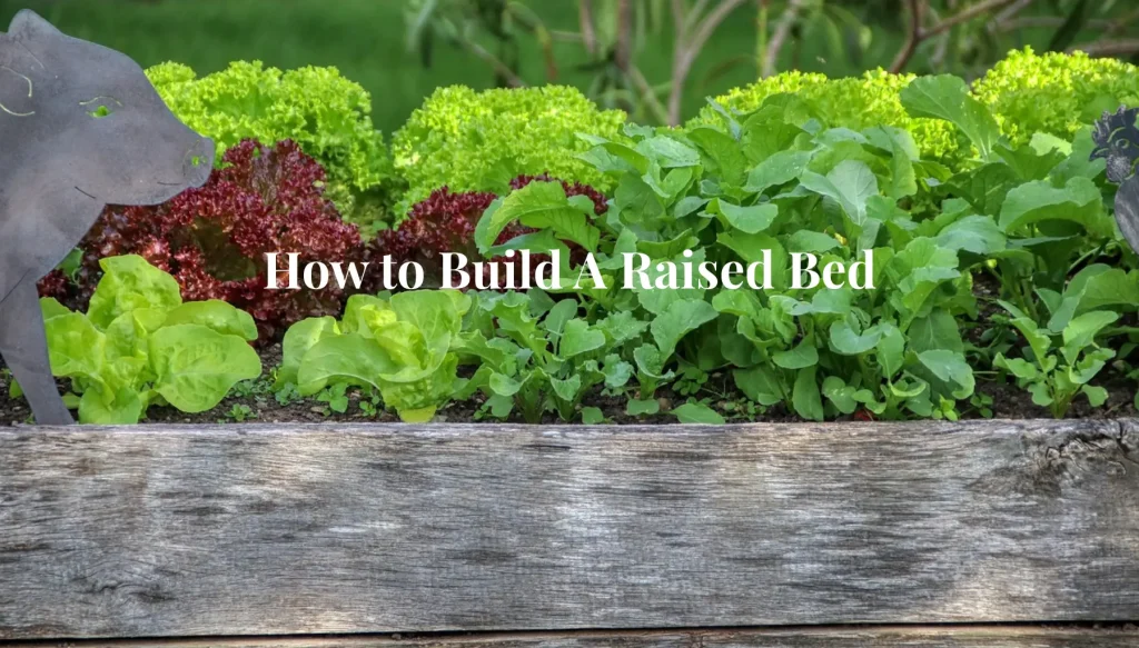 How To Build A Raised Bed