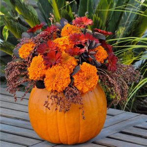 Halloween Bouquet Bar with Lynette
