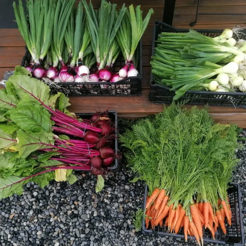 Fresh Organic Vegetables Select A Subscription